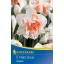 Bulb de floare Narcis Replete 5 buc Kiepenkerl