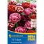 Bulbi de flori Lalea cu flori duble Mega Pack mix lalele-trandafir 15 buc Kiepenkerl