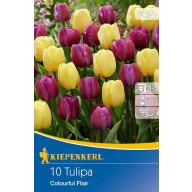 Bulbi de lalele mix Colourful Flair 10 buc Kiepenkerl