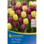 Bulbi de lalele mix Colourful Flair 10 buc Kiepenkerl
