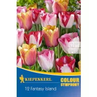   Bulbi de flori lalea mix de culori Fantasy Island 12 buc Kiepenkerl
