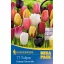 Bulbi de lalea Mega Pack Cottage Mix 15 buc. Kiepenkerl