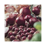 Dughagyma lilahagyma Roșu Comred 14-19 mm 250 g VM