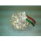 Ceapă de plantat albă, de toamnă, 300 g