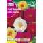 Portulaca cu flori duble Rocalba
