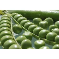 Mazăre verde Somerwood 250 g Royal Sluis