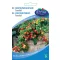 Roșie cocktail Tomfall 0,3 g Seria Grădinarului Urban