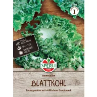 Varză creață Emerald Ice 20 semințe Sperli