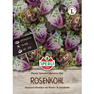 Varză de Bruxelles creț Autumn Star 20 semințe Sperli