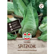 Varză conică Fielderkraut 120 semințe Sperli