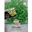 Trio de oregano semințe peliculizate Simply Herbs 15 semințe Sperli
