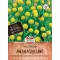 Floare de ananas (tufiș gumicukor) Süsser Duft (aprox. 15 semințe) Sperli