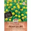 Floare de ananas (tufiș gumicukor) Süsser Duft (aprox. 15 semințe) Sperli