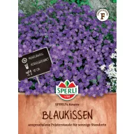 Panseluță Azurro 50 semințe Sperli
