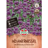 Monarda cu aromă de lămâie 200 semințe Sperli