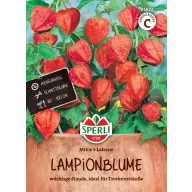 Physalis Mikie's Laterne 70 semințe Sperli