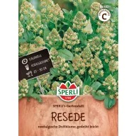 Rezedă parfum de grădină 100 semințe Sperli