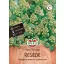 Rezedă parfum de grădină 100 semințe Sperli