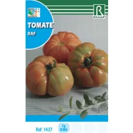 Tomate Raf 1g Rocalba