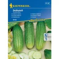   Castravete (pentru salată și murat) Delikates 60 semințe Kiepenkerl