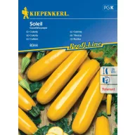 Dovlecel Soleil 7 semințe Kiepenkerl