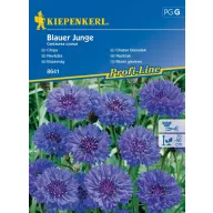 Albăstrea Blauer Junge 60 semințe Kiepenkerl