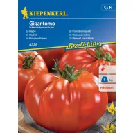 Tomate uriașe Gigantomo Kiepenkerl 8 buc.