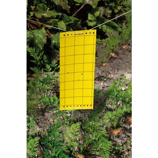 Capcană adezivă pentru insecte, panou adeziv 10 cm x 24 cm, 5 buc.