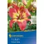 Bulb de crin Forever Linda (coral-galben) Kiepenkerl 1 buc