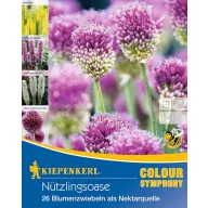 Bulbi de flori Grădina insectelor utile Kiepenkerl 26 buc.