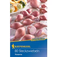 Bulbi de ceapă șalotă Rosanna (roz) Kiepenkerl 80 buc