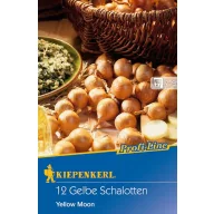   Bulbi de plantat șalotă Yellow Moon (galben) Kiepenkerl 10 buc.