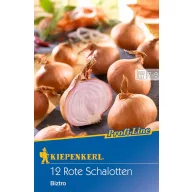   Ceapă șalotă pentru plantat Biztro (mov) Kiepenkerl 10 buc.