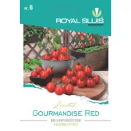 Roșii de balcon Gourmandise Red 10 semințe Royal Sluis
