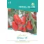 Tomate Roma VF 0,25 g Royal Sluis
