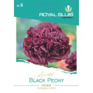 Pipacs Bujor Negru 0,08g Royal Sluis