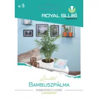 Palmier de bambus 15 bucăți Royal Sluis