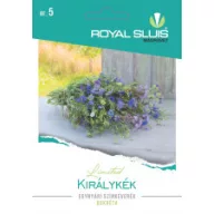 Amestec de flori anuale Albastru regal 0,75 g Royal Sluis