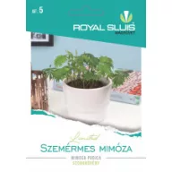Mimoza rușinoasă 0,2g Royal Sluis