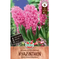 Bulbi de zambile Pink Pearl 4 buc Sperli