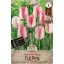 Bulb de lalea Playgirl 7 buc Sperli