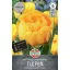 Bulb de lalea cu flori duble Yellow Pompenette 7 buc Sperli
