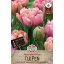 Bulb de lalea cu flori duble Pink Star 10 bucăți Sperli