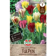 Bulbi de lalea amestec de culori Viridiflora 10 buc Sperli