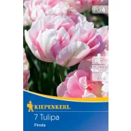 Bulb de floare Lalea Finola 7 buc Kiepenkerl