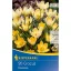 Bulbi de flori Crocus botanic Romance 20 buc Kiepenkerl