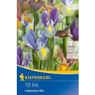 Bulbi de Iris hollandica, mix de culori, 10 buc Kiepenkerl
