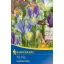 Bulbi de Iris hollandica, mix de culori, 10 buc Kiepenkerl