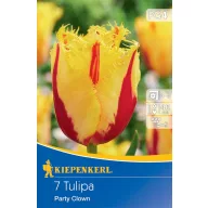 Bulb Laleaua Party Clown 7 bulbi Kiepenkerl