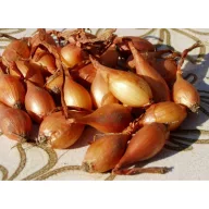 Ceapă pentru plantat Makó, de toamnă, 500 g VM